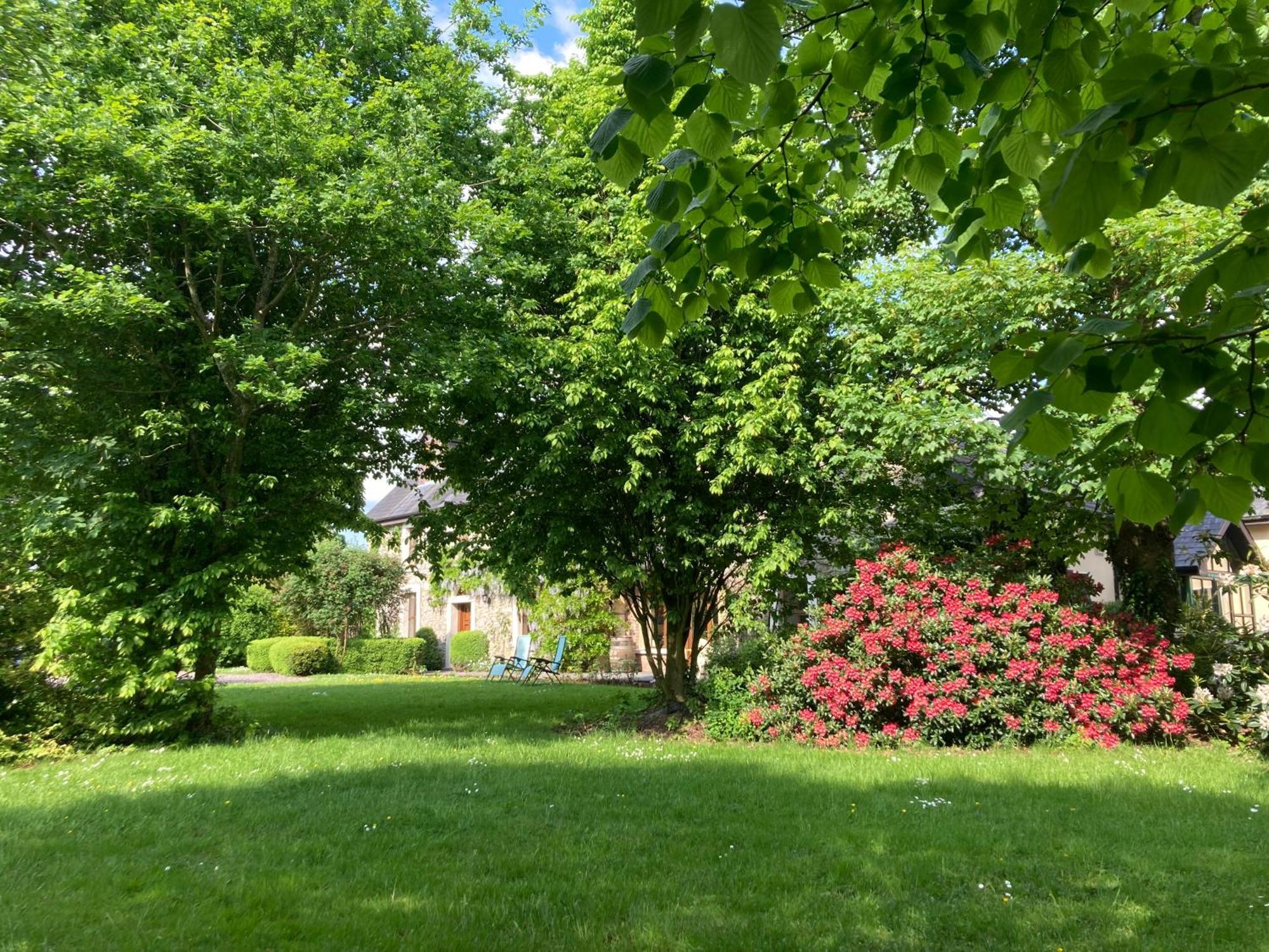 Grove House Country Rooms Shanballymore Eksteriør bilde